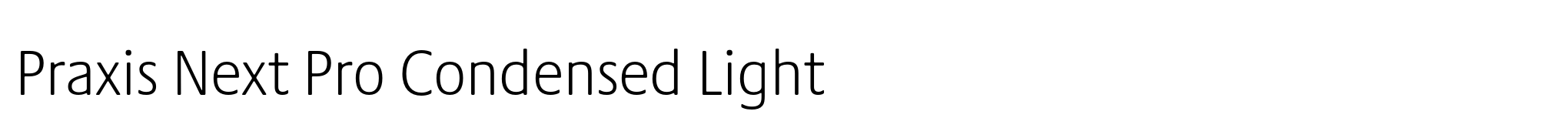 Praxis Next Pro Condensed Light image